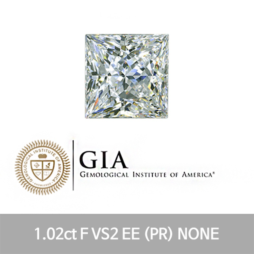 1캐럿 다이아몬드 나석 GIA 1.02ct F VS2 EE (PR) NONE